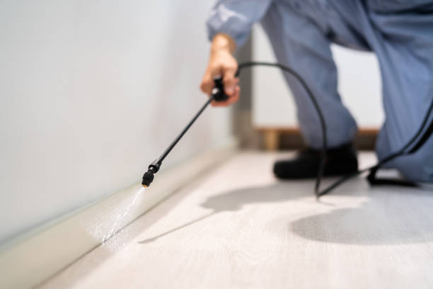 Rodent Entry Point Assessment in Chino Hills