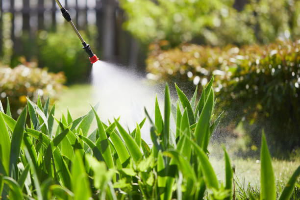 Tamper-Resistant Bait Stations for Rodents in Chino Hills