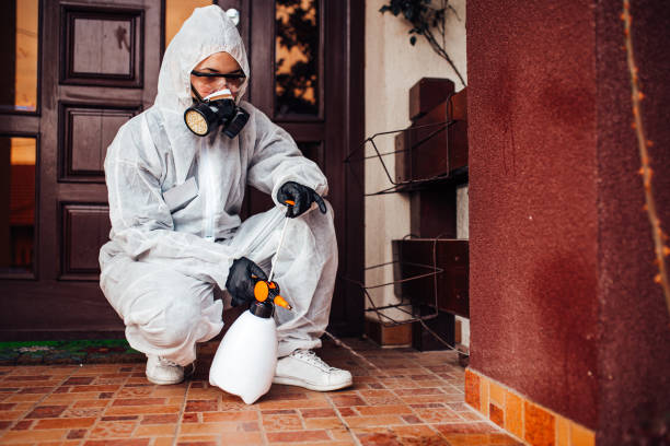 Attic and Crawl Space Rodent Treatment in Chino Hills
